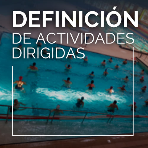 Definicion de actividades